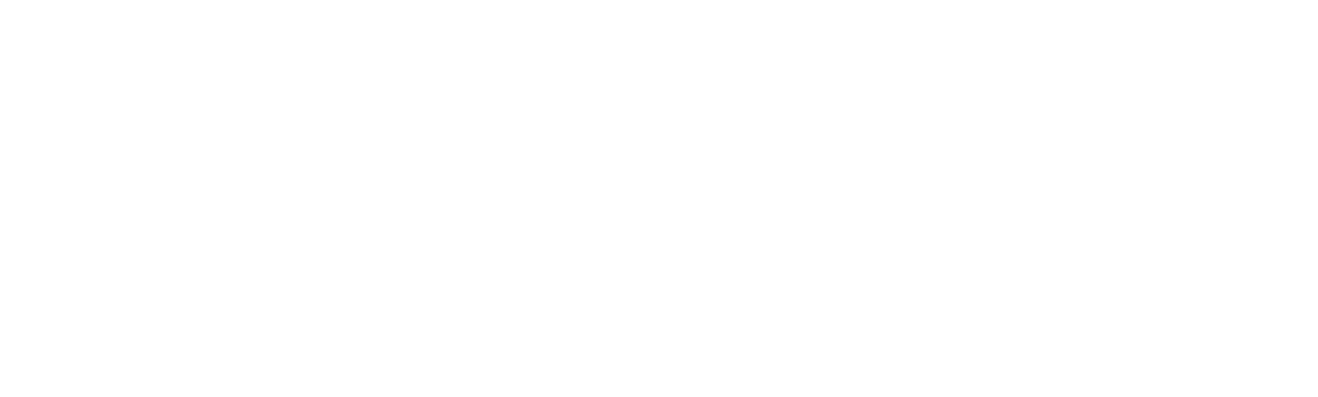 Camp Salute